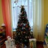 IMG_20241223_120034.jpg